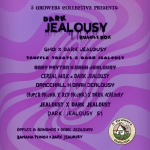 Dark Jealousy Bundle Box
