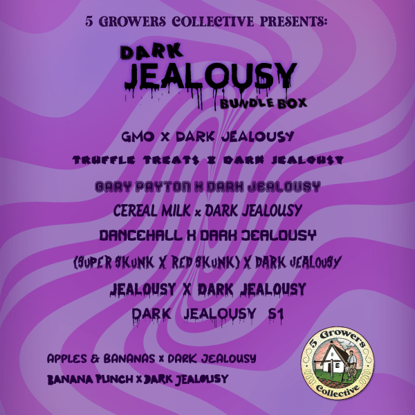 Dark Jealousy Bundle Box