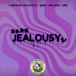 Dark Jealousy S1