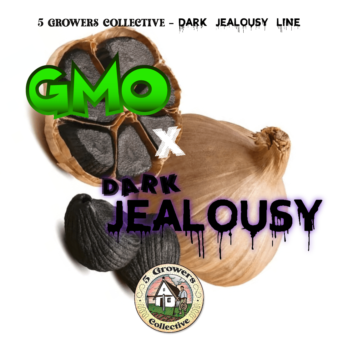 GMO x Dark Jealousy