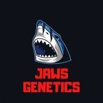 Jaws Genetics
