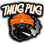 Thug Pug