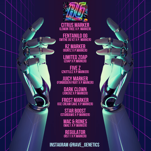 Rave Genetics Feminizadas