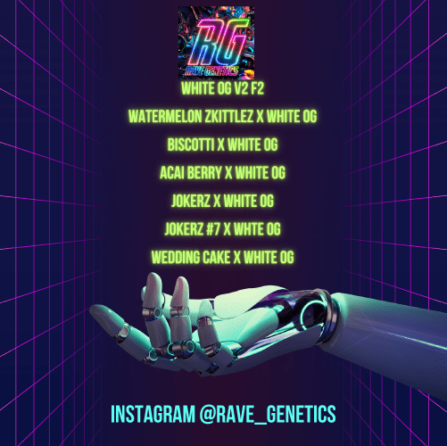 Rave Genetics Regulares