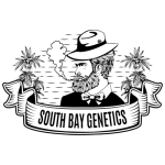 SOUTHBAY500
