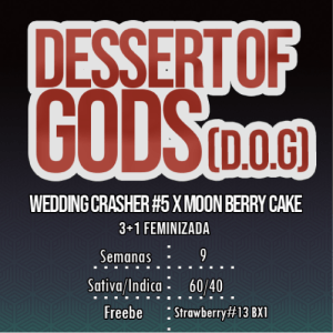 Dessert Of Gods (D.O.G.) - Imagen 2