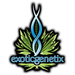 Exotic Genetix Semillas