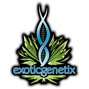 Exotic Genetix Semillas