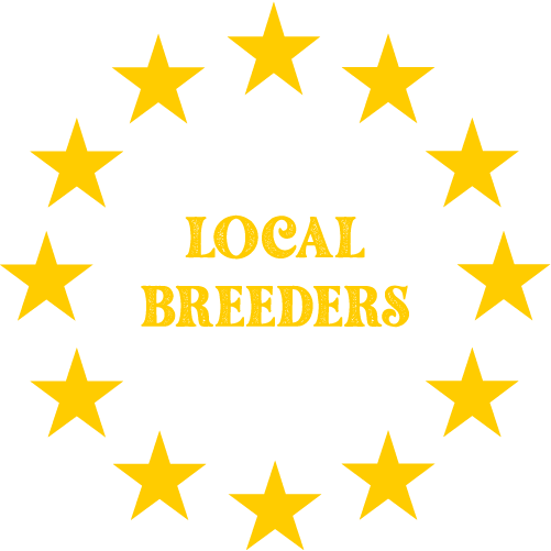 localbreeders