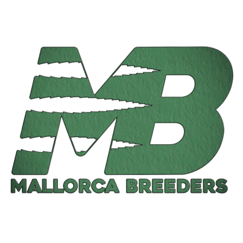 Mallorca Breeders
