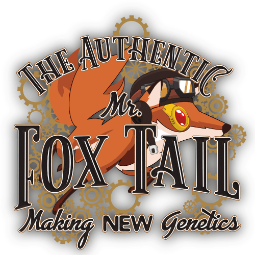 Mr Foxtail Seeds