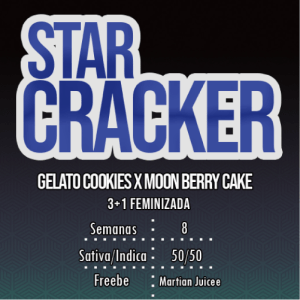 Star Cracker - Imagen 2