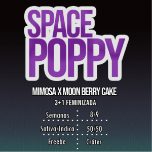 Space Poppy - Imagen 2